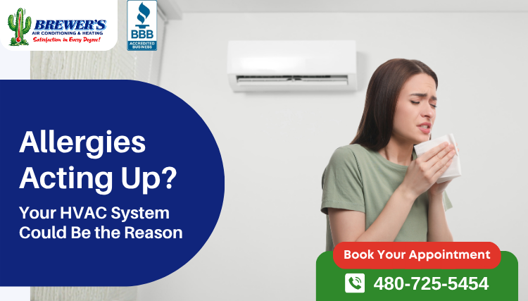 Allergies Acting Up? Your HVAC System Could Be the Reason